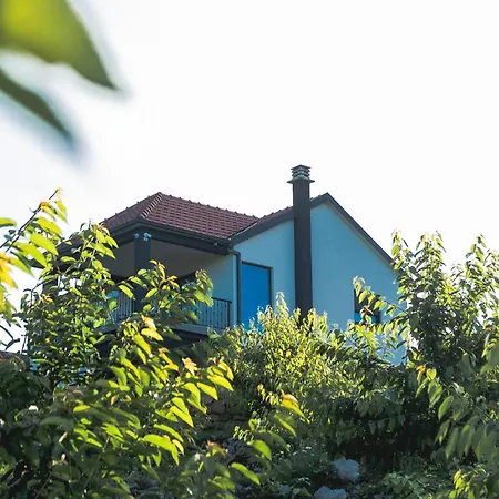 Tatil Evi Stara Kruska Podgoriçe