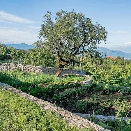 Tatil Evi Stara Kruska Podgoriçe